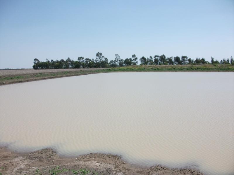 Goondiwindi QLD 4390