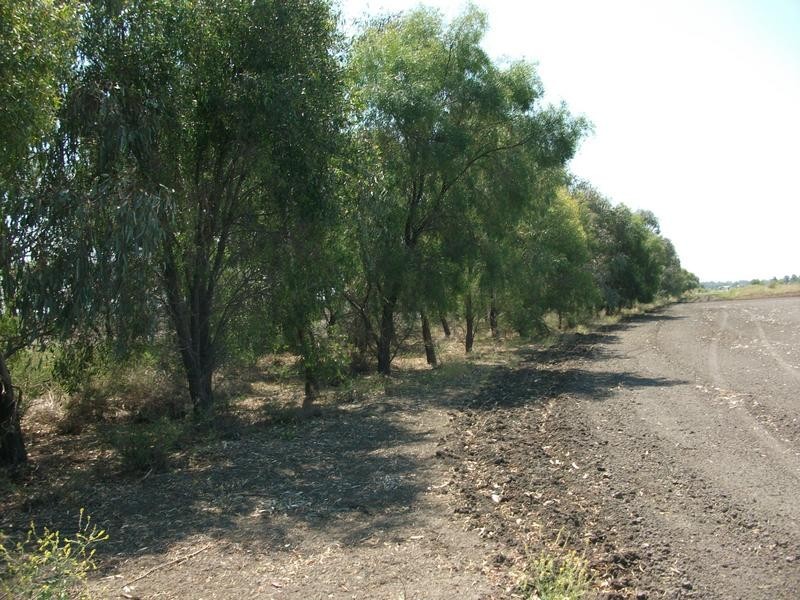 Goondiwindi QLD 4390
