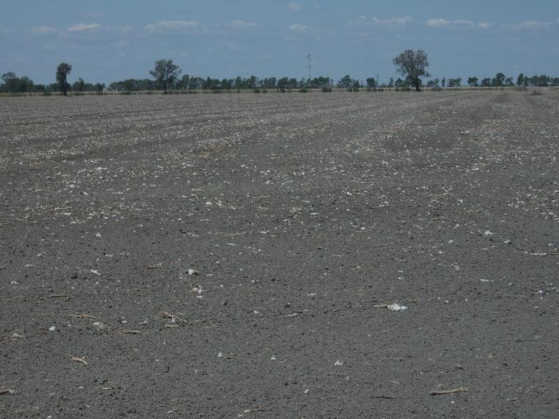 Goondiwindi QLD 4390
