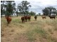 1837 Merton Road, Goondiwindi QLD 4390