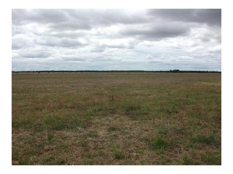 1837 Merton Road, Goondiwindi QLD 4390