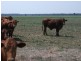 1837 Merton Road, Goondiwindi QLD 4390