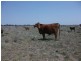 1837 Merton Road, Goondiwindi QLD 4390