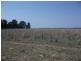 1837 Merton Road, Goondiwindi QLD 4390