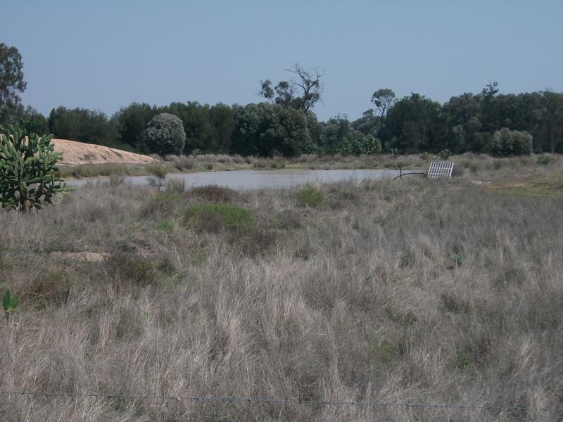 1837 Merton Road, Goondiwindi QLD 4390