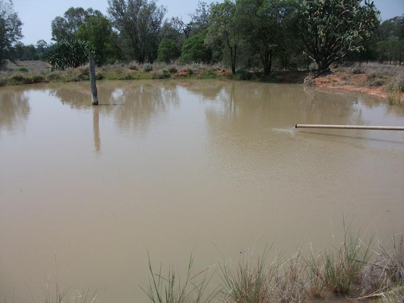 1837 Merton Road, Goondiwindi QLD 4390