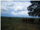 1837 Merton Road, Goondiwindi QLD 4390