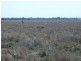 1837 Merton Road, Goondiwindi QLD 4390