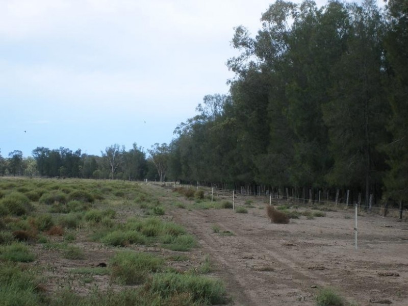 1837 Merton Road, Goondiwindi QLD 4390