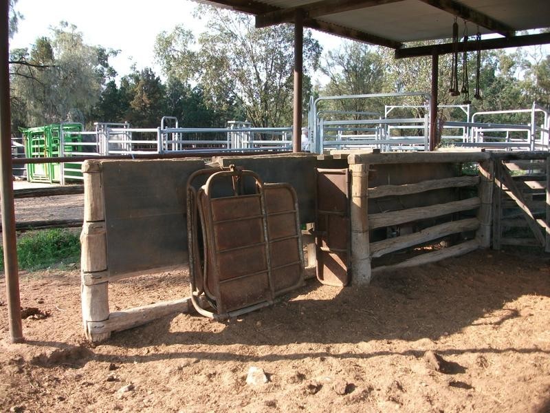 1837 Merton Road, Goondiwindi QLD 4390