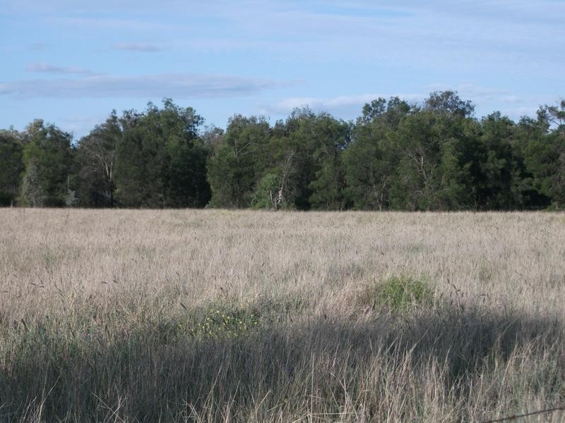 Goondiwindi QLD 4390