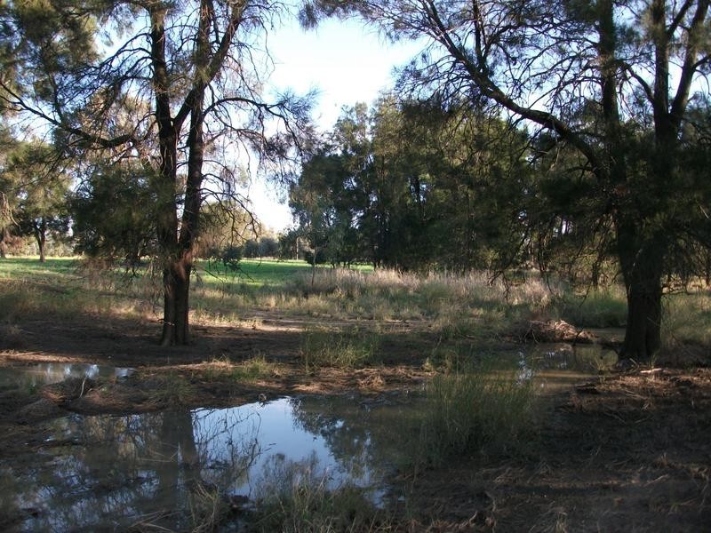 Goondiwindi QLD 4390