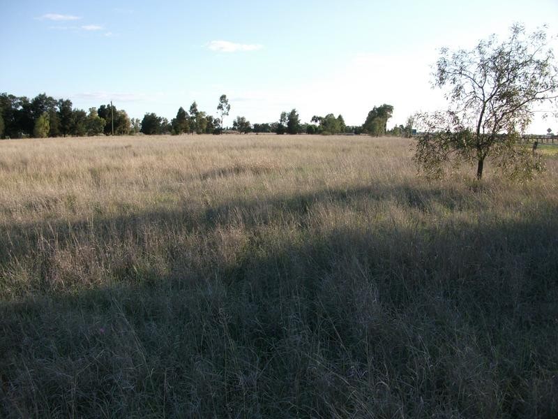 Goondiwindi QLD 4390