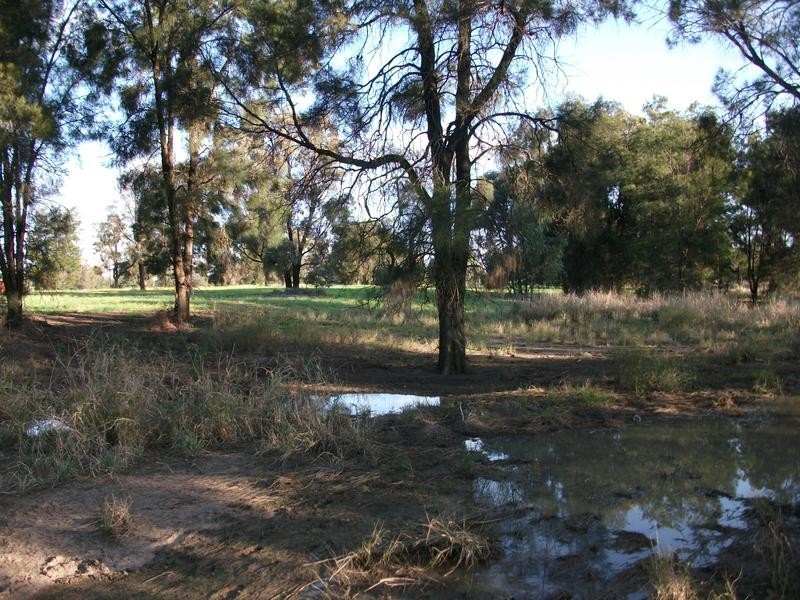 Goondiwindi QLD 4390