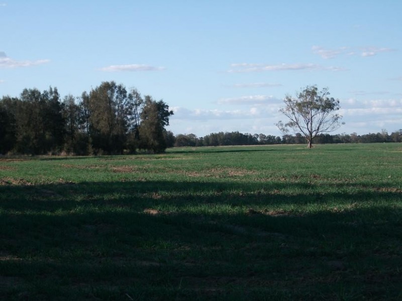 Goondiwindi QLD 4390