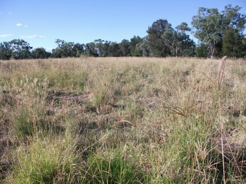 Goondiwindi QLD 4390