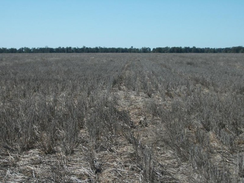 Goondiwindi QLD 4390