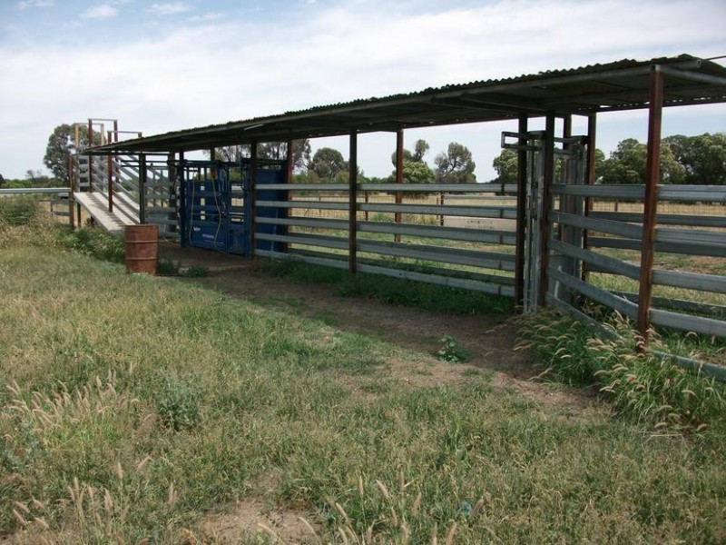 Goondiwindi QLD 4390