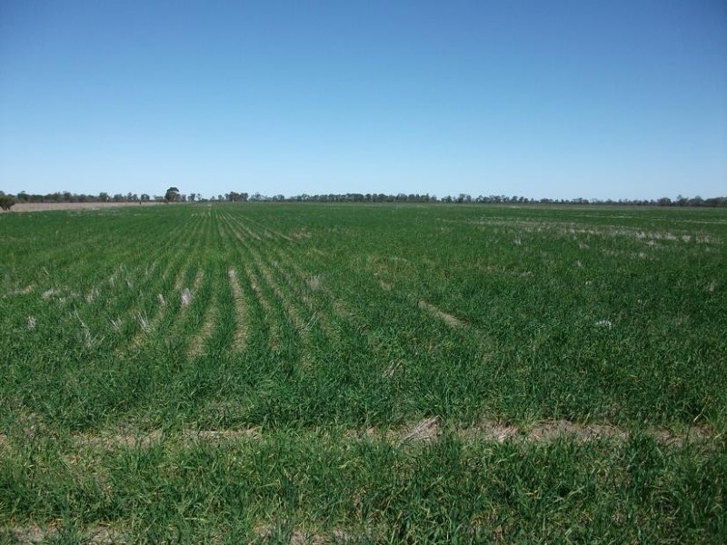 Goondiwindi QLD 4390