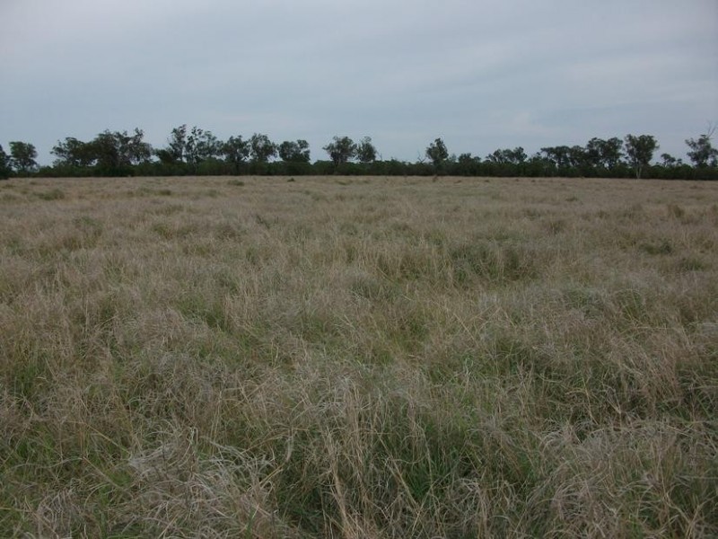 Goondiwindi QLD 4390