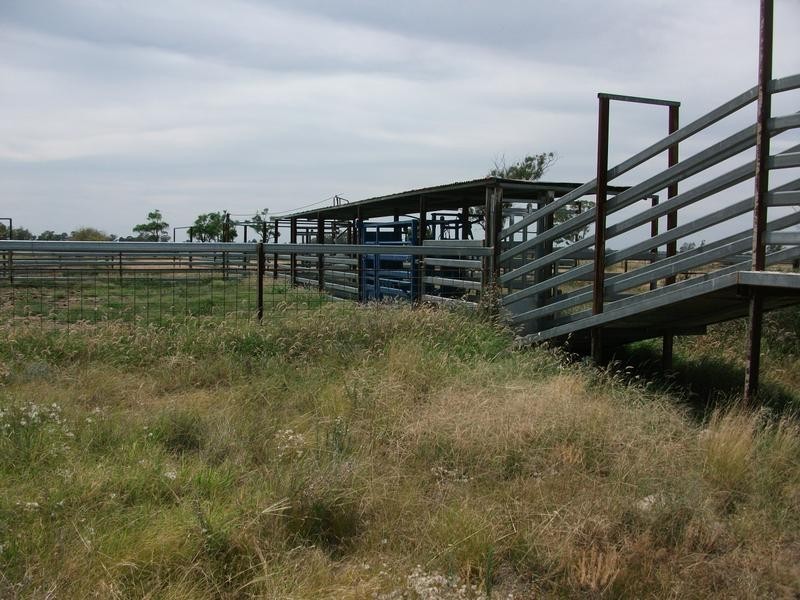 Goondiwindi QLD 4390