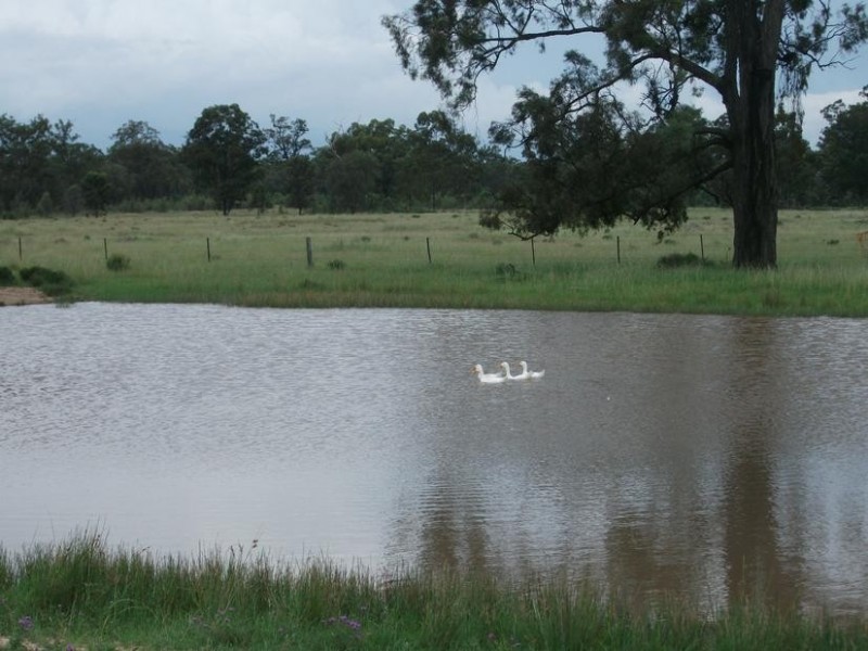 Lot 4,  Borella – Magee Rd, Beebo QLD 4385