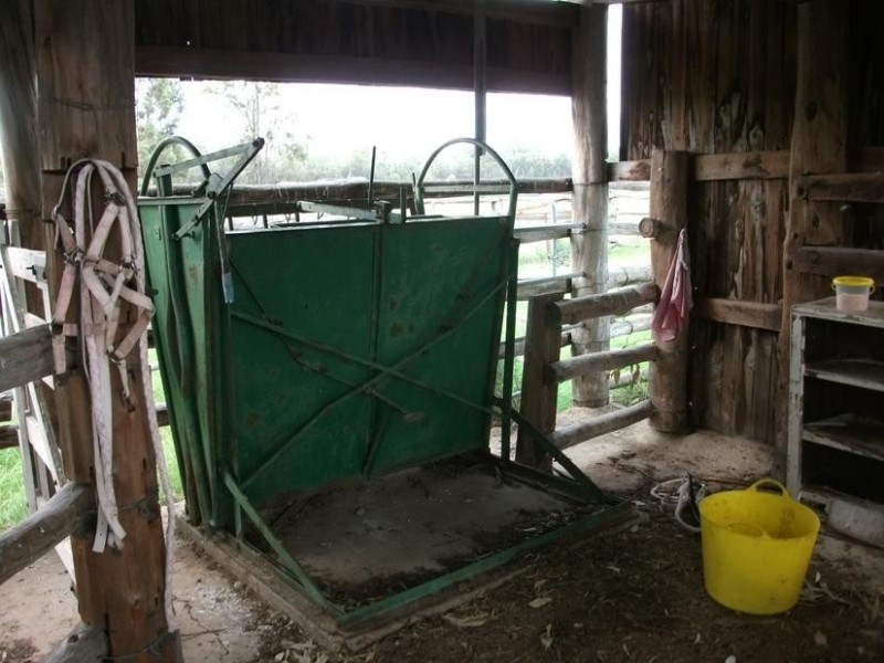 Lot 4,  Borella – Magee Rd, Beebo QLD 4385