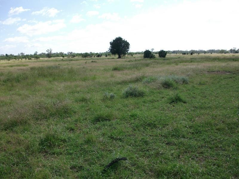 3245 Goodar Rd, Goondiwindi QLD 4390