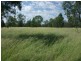 3245 Goodar Rd, Goondiwindi QLD 4390