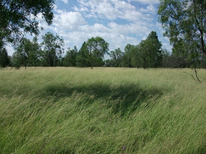 3245 Goodar Rd, Goondiwindi QLD 4390