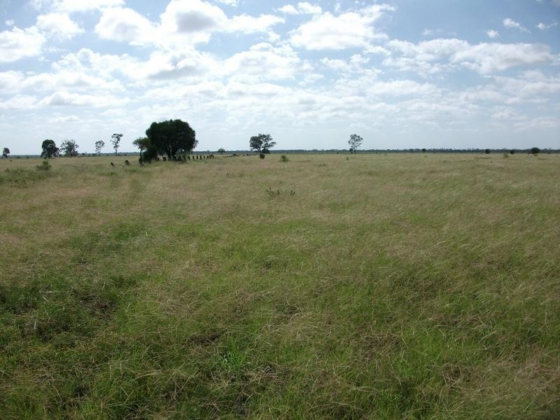 3245 Goodar Rd, Goondiwindi QLD 4390