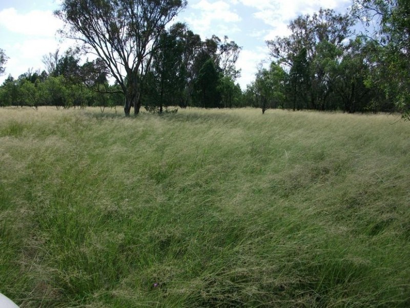 3245 Goodar Rd, Goondiwindi QLD 4390