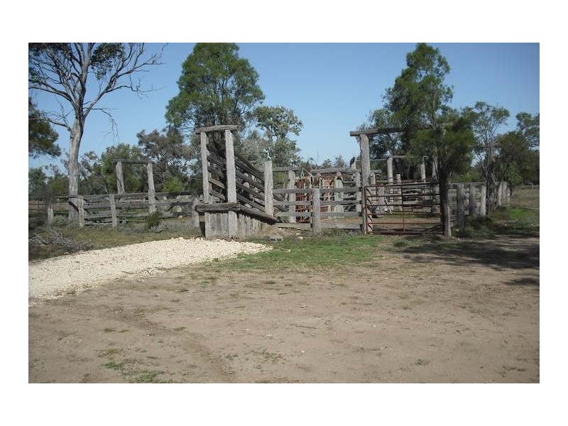 Goondiwindi QLD 4390