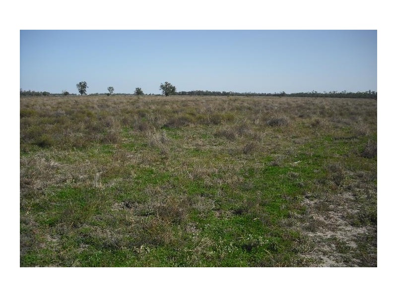 Goondiwindi QLD 4390