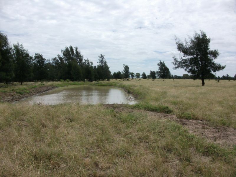 Goondiwindi QLD 4390