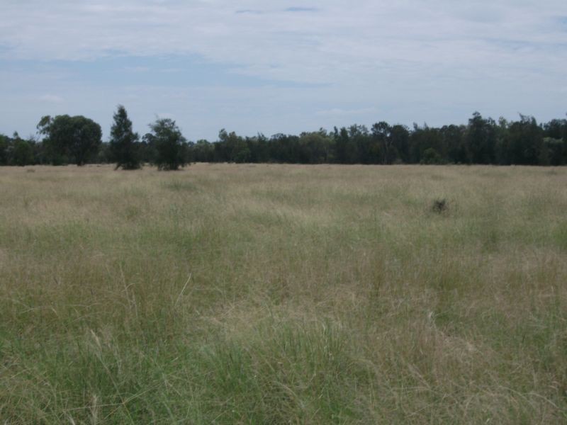 Goondiwindi QLD 4390