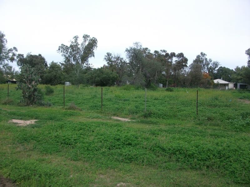 38 Yeoman St, Boggabilla NSW 2409