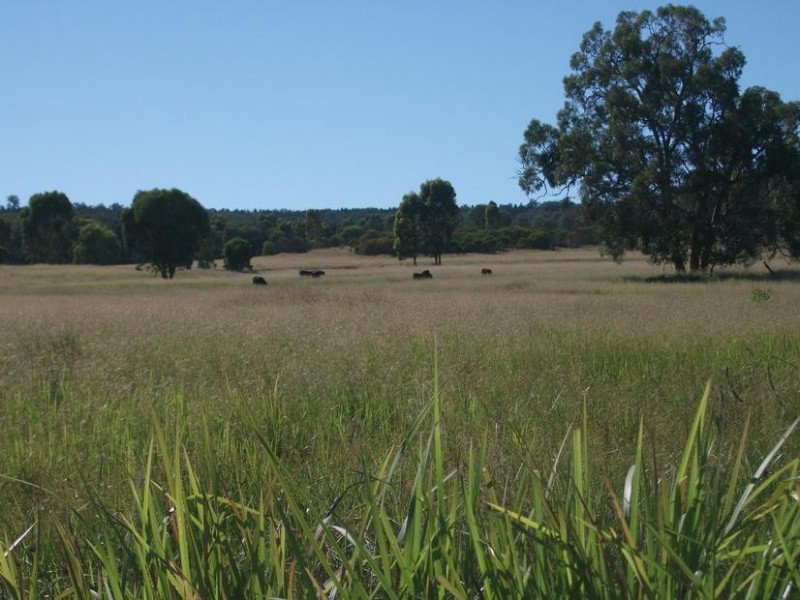 8 Warialda – Yetman Rd, Coolatai NSW 2402