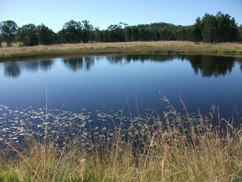 8 Warialda – Yetman Rd, Coolatai NSW 2402