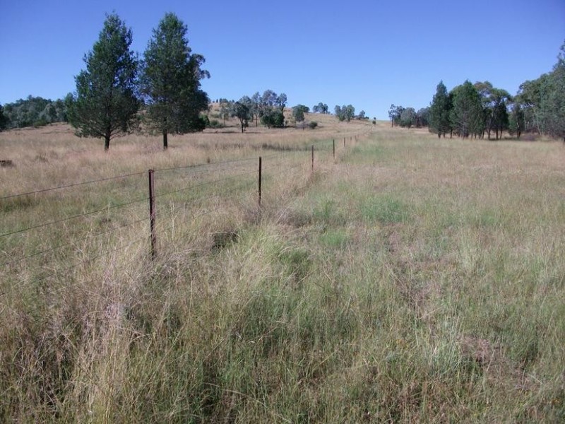 8 Warialda – Yetman Rd, Coolatai NSW 2402