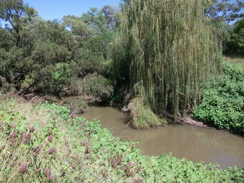 8 Warialda – Yetman Rd, Coolatai NSW 2402