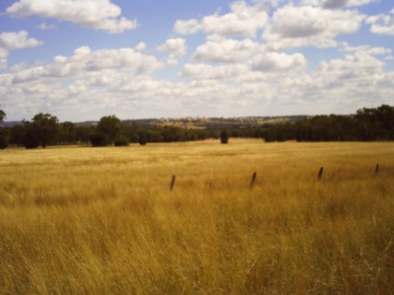 8 Warialda – Yetman Rd, Coolatai NSW 2402