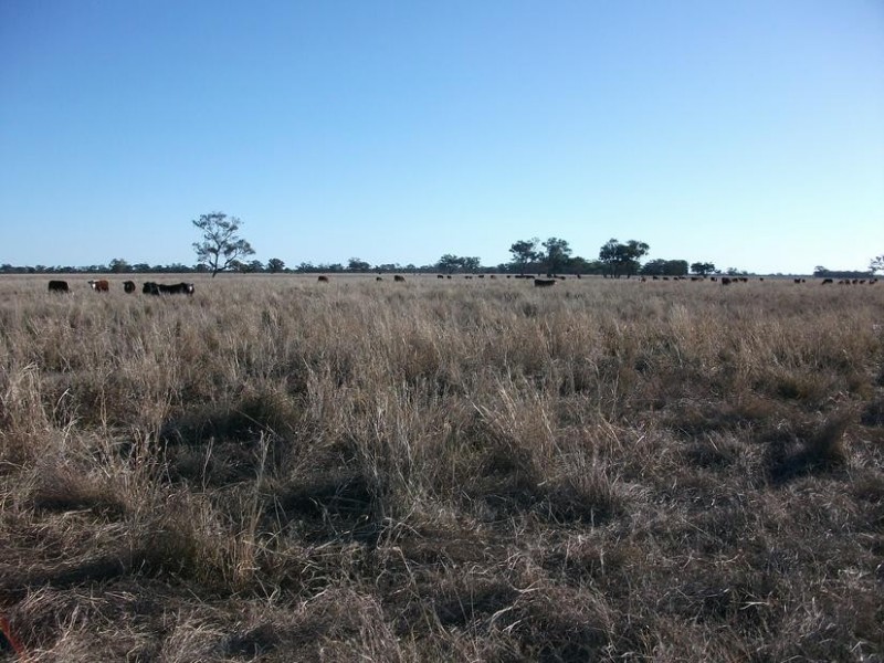Goondiwindi QLD 4390