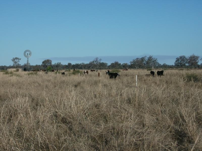 Goondiwindi QLD 4390