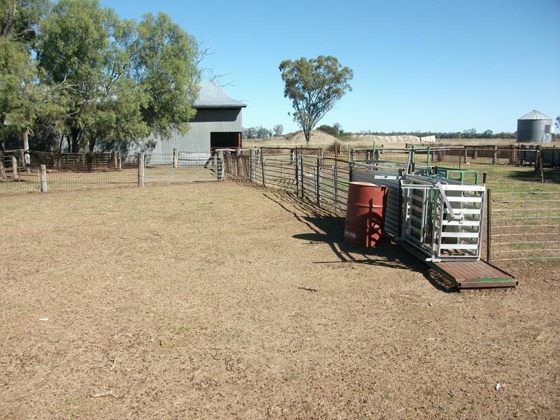 Goondiwindi QLD 4390