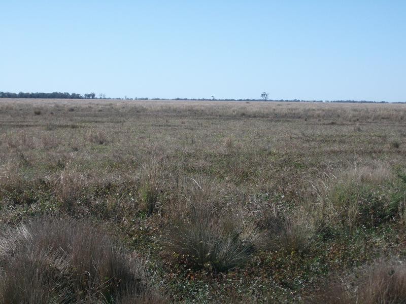 Goondiwindi QLD 4390