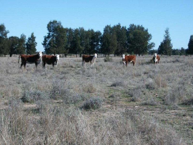 4 Kurumbul Rd, Yelarbon QLD 4388