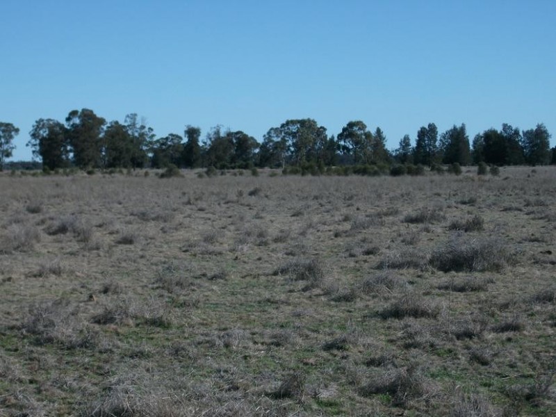 4 Kurumbul Rd, Yelarbon QLD 4388