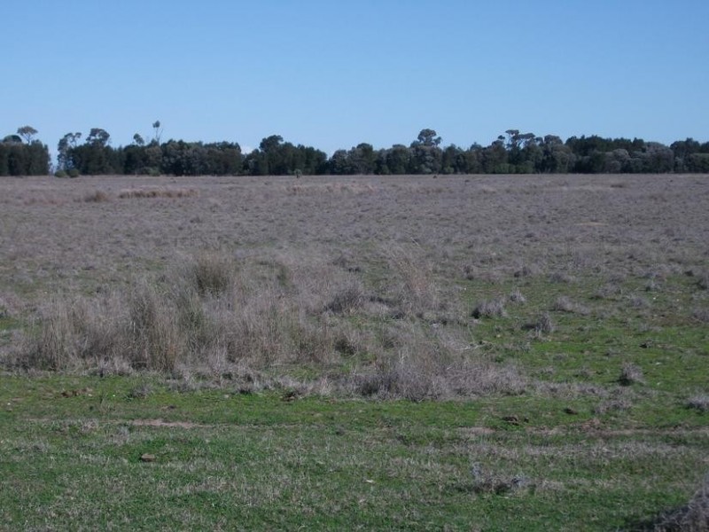 4 Kurumbul Rd, Yelarbon QLD 4388