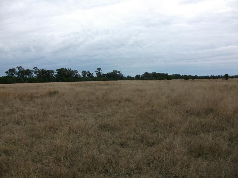 4 Kurumbul Rd, Yelarbon QLD 4388